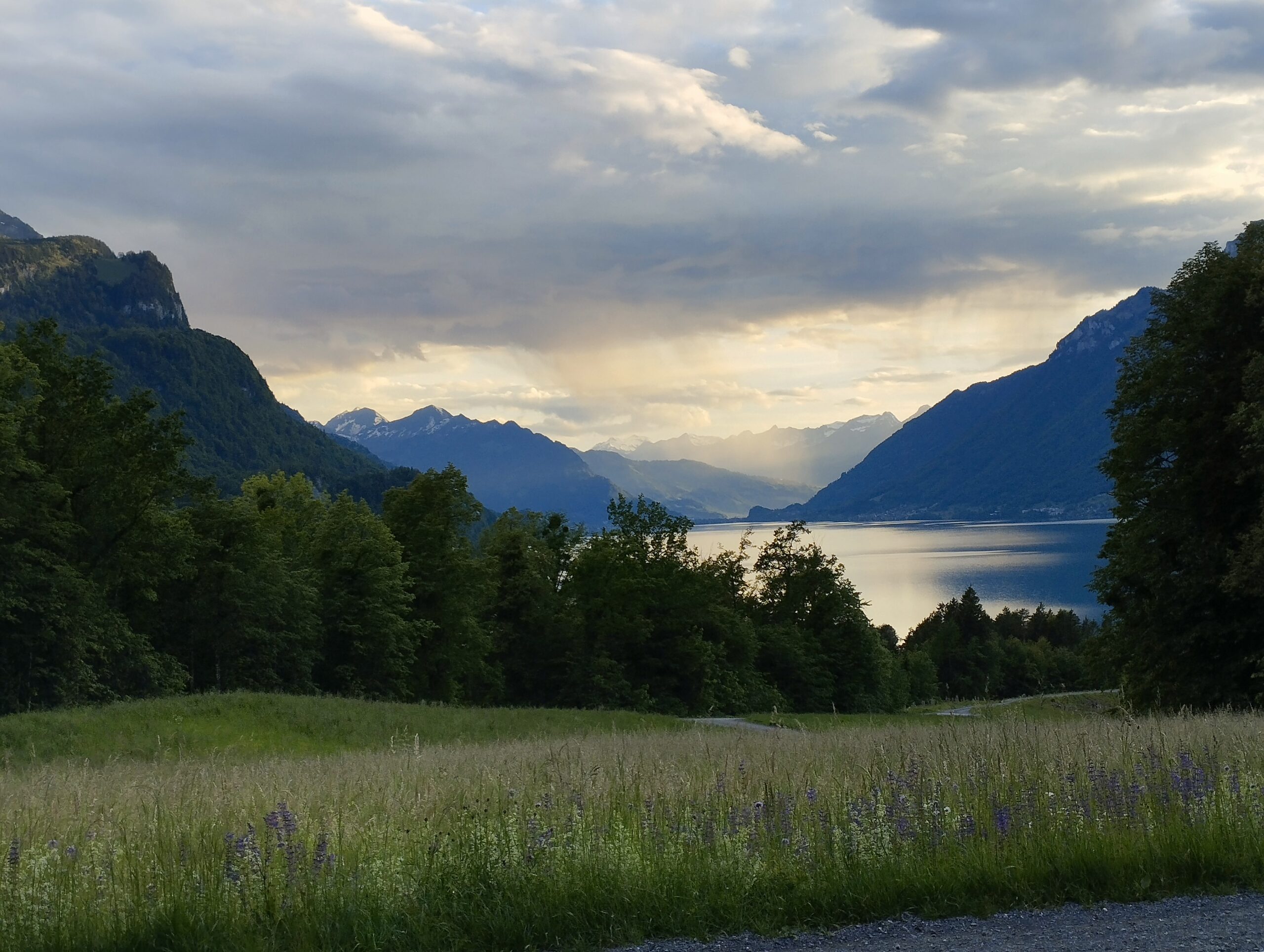 Blick auf den Brienzersee und die Berge