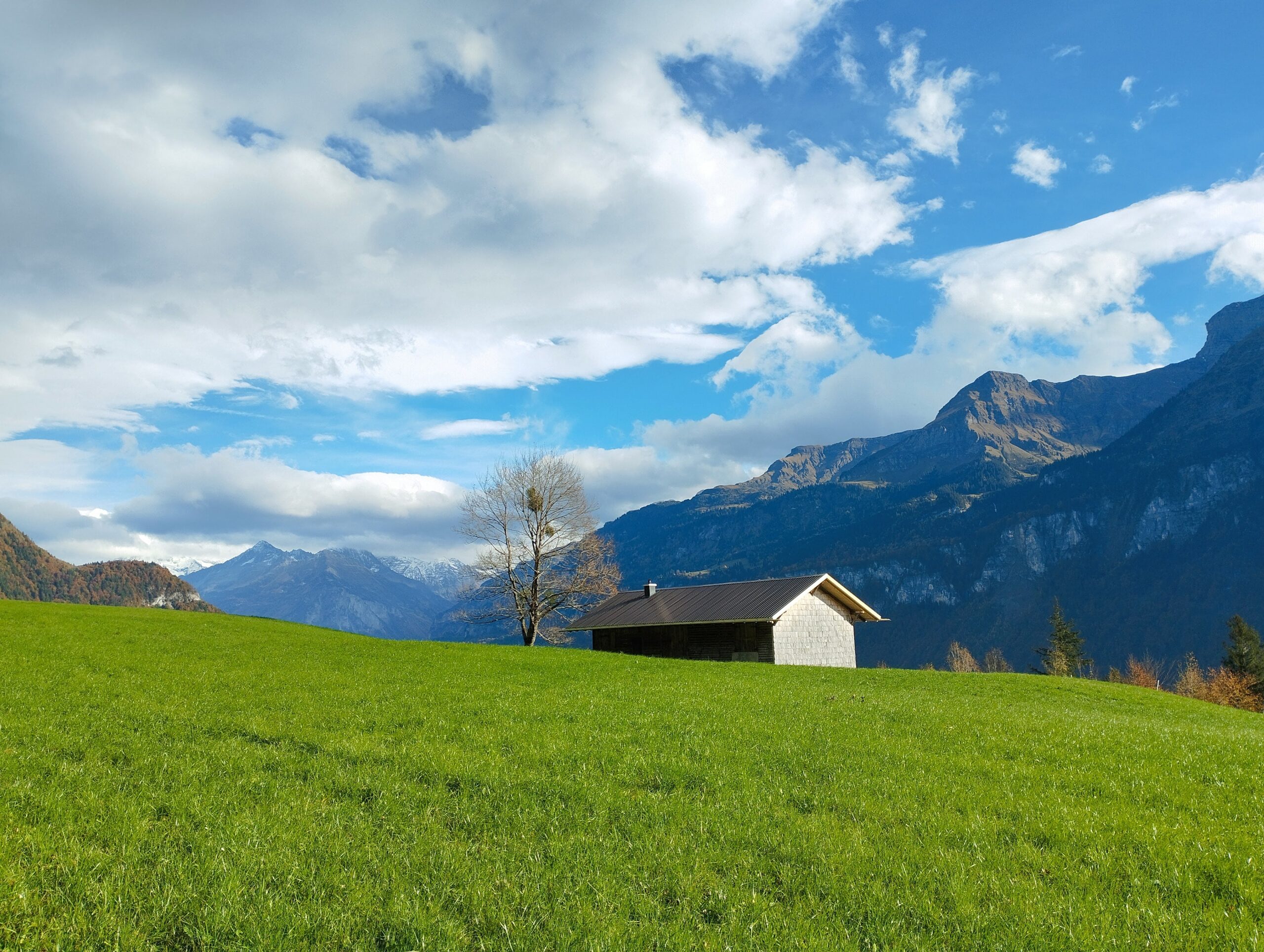 Stall auf Wiese mit Blick auf die Berge